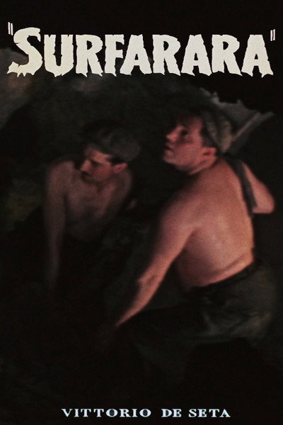 Póster de Surfarara