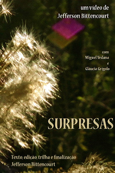 Póster de Surpresas