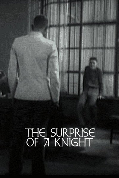 Póster de Surprise of a Knight