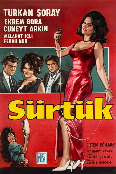 Póster de Sürtük