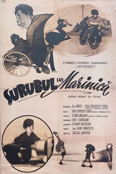Póster de Surubul lui Marinica