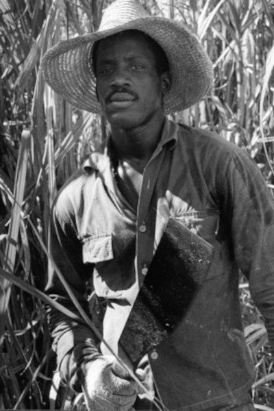 Póster de Susan After the Sugar Harvest
