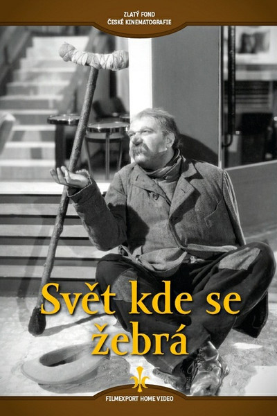 Póster de Svet kde se zebrá