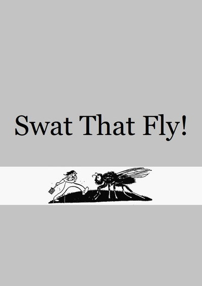 Póster de Swat That Fly