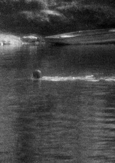 Póster de Swimming