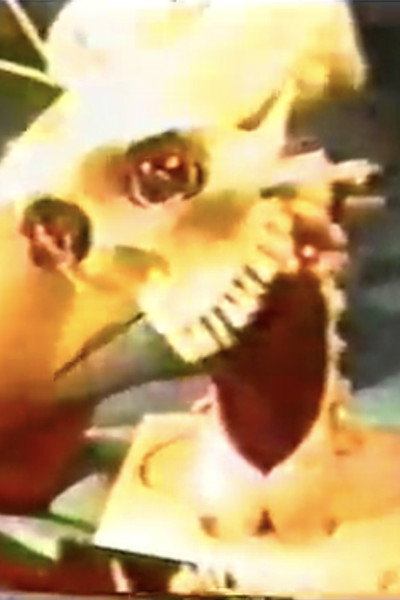 Póster de SXXX-80