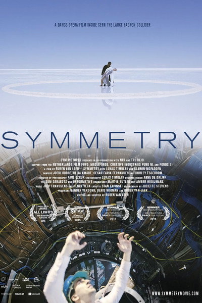 Póster de Symmetry