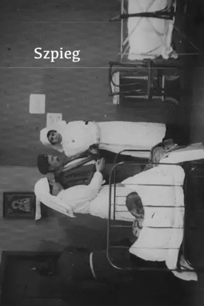 Póster de Szpieg