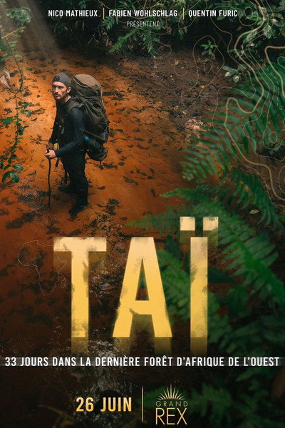 Póster de TAÏ: 33 jours dans la dernière forêt d'Afrique de l'Ouest