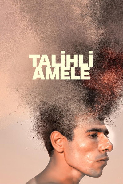 Póster de Talihli Amele