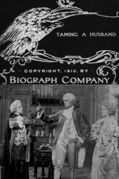 Póster de Taming a Husband