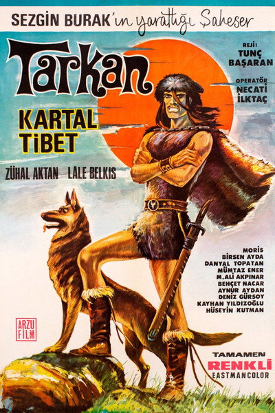 Póster de Tarkan