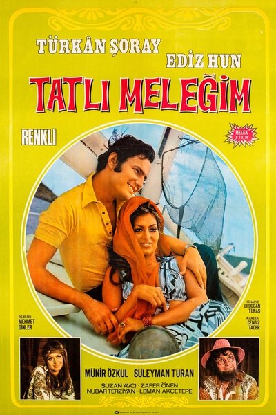 Póster de Tatli Melegim