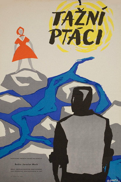 Póster de Tazní ptáci
