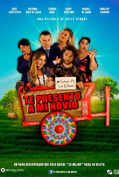 Póster de Te presento a mi novio