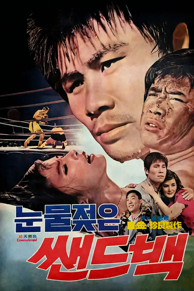 Póster de Tearful Sandbag