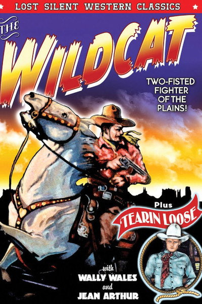 Póster de Tearin' Loose