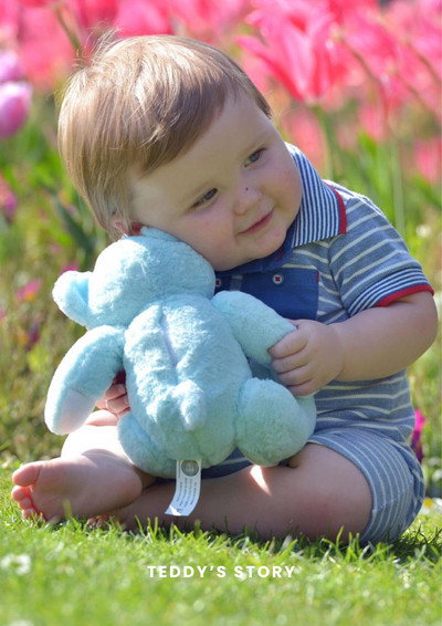 Póster de Teddy's Story