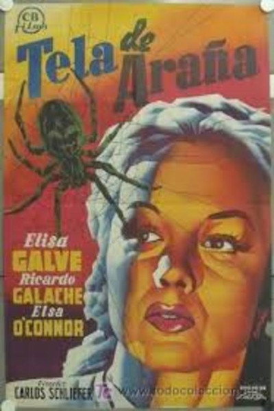 Póster de Tela de araña