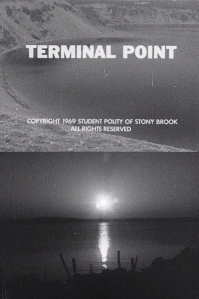 Póster de Terminal Point