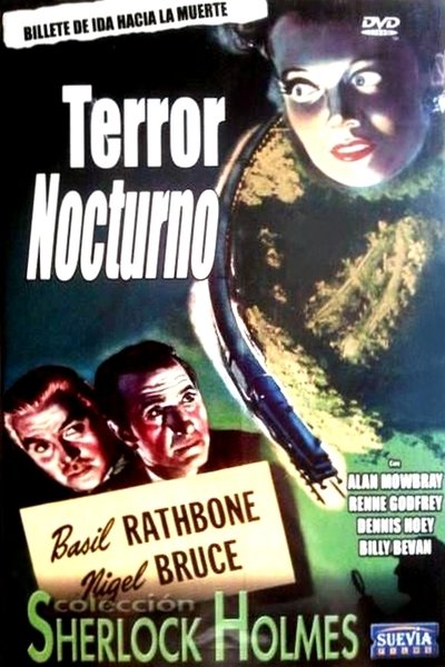 Póster de Terror en la noche