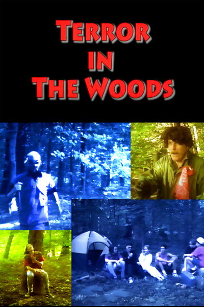 Póster de Terror in the Woods