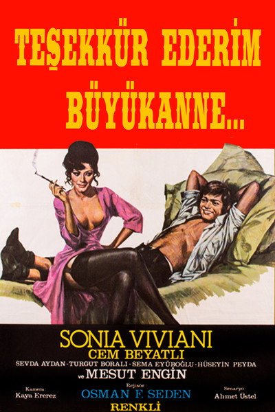 Póster de Tesekkür Ederim Büyükanne