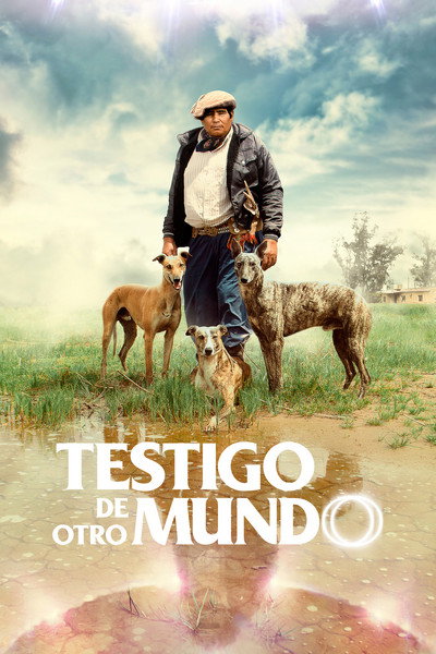 Póster de Testigo de otro mundo