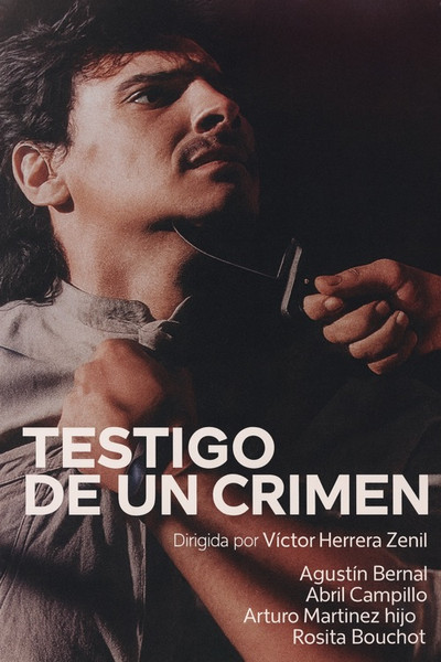 Póster de Testigo de un crimen