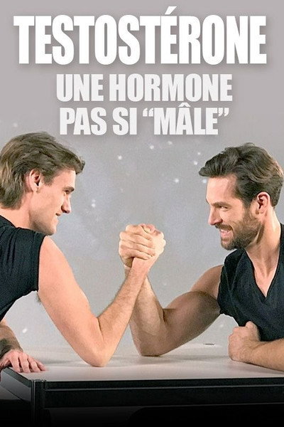 Póster de Testosteron - Der Stoff aus dem die Männer sind