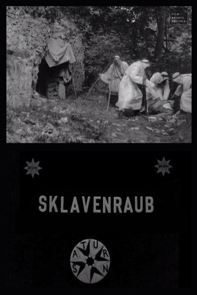 Póster de The Abduction of the Slave Women