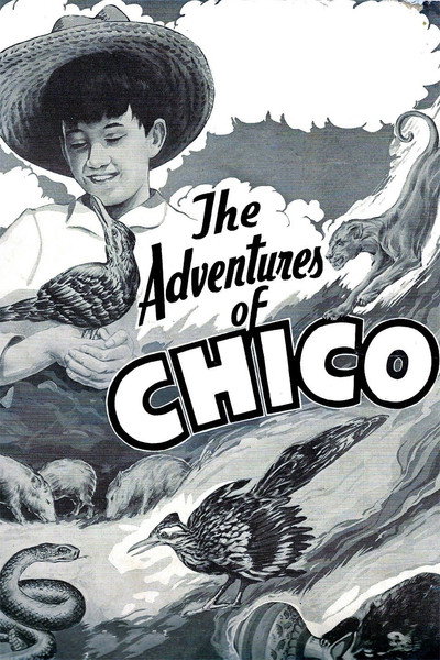 Póster de The Adventures of Chico