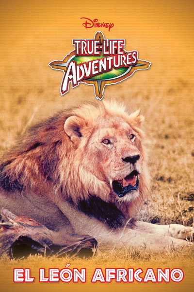 Póster de The African Lion