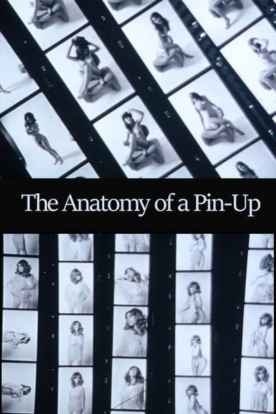 Póster de The Anatomy of a Pin-Up