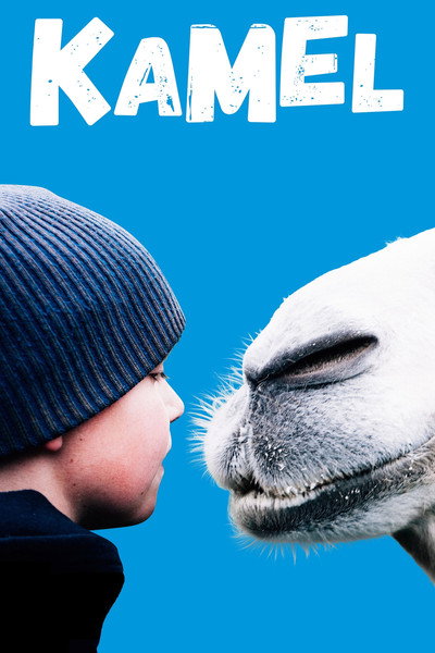 Póster de The Arctic Camels