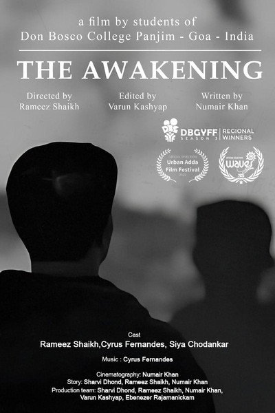 Póster de The Awakening