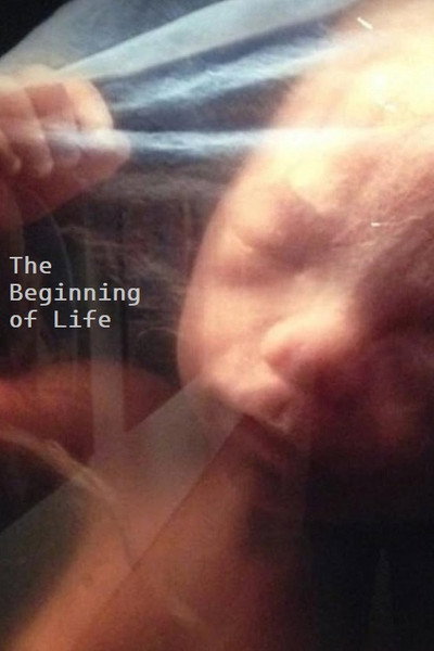 Póster de The Beginning of Life