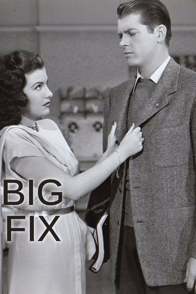 Póster de The Big Fix