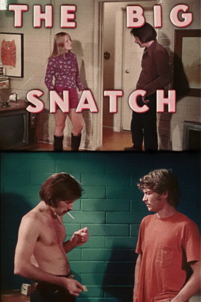 Póster de The Big Snatch