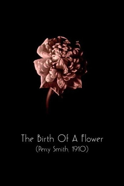 Póster de The Birth of a Flower