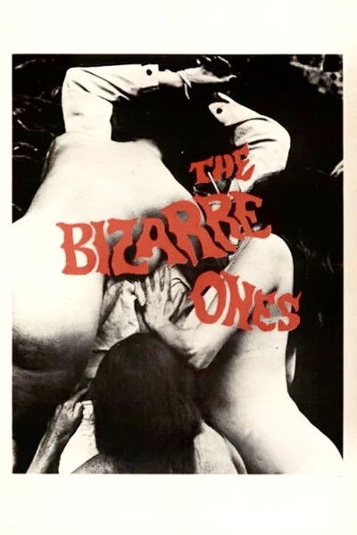 Póster de The Bizarre Ones