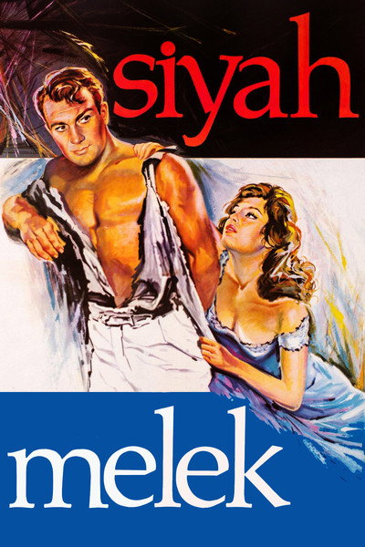 Póster de The Black Angel