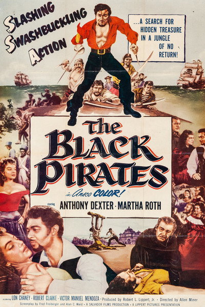 Póster de The Black Pirates