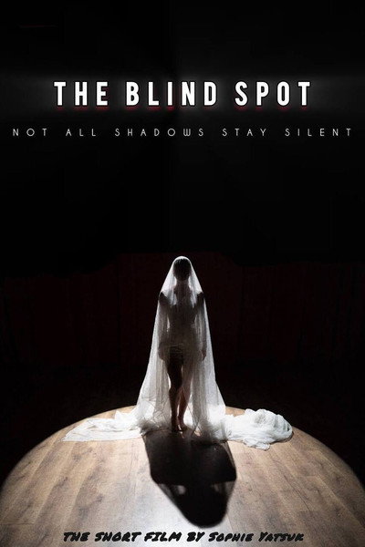 Póster de The Blind Spot