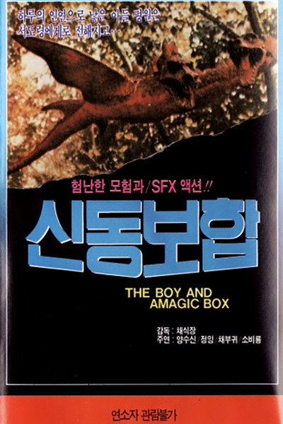 Póster de The Boy and a Magic Box