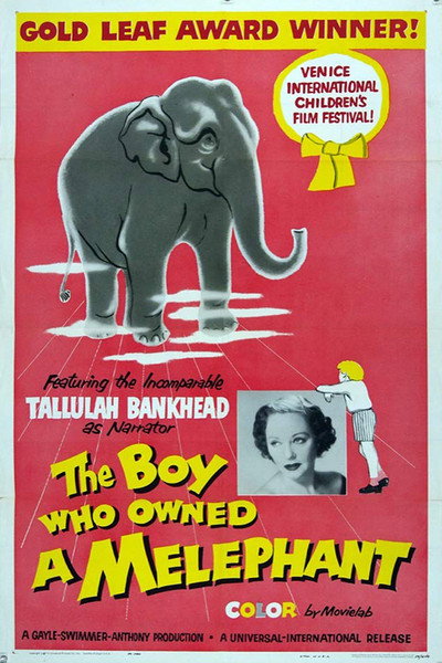 Póster de The Boy Who Owned a Melephant