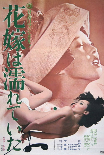 Póster de The Bride Was Wet