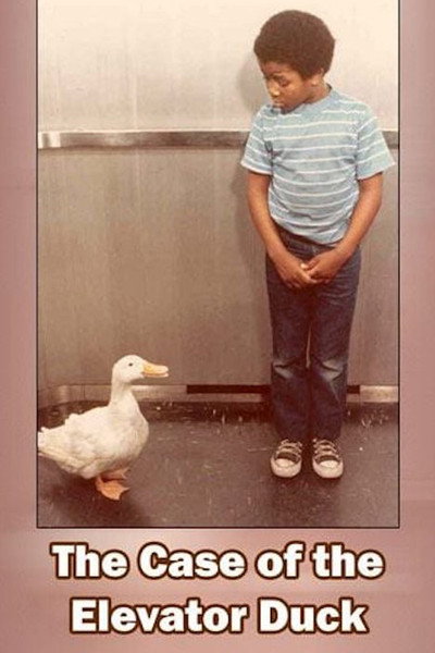 Póster de The Case of the Elevator Duck