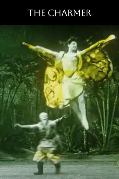 Póster de The Charmer
