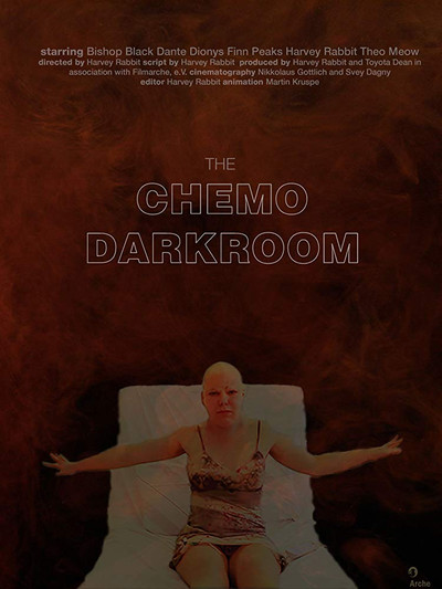 Póster de The Chemo Darkroom